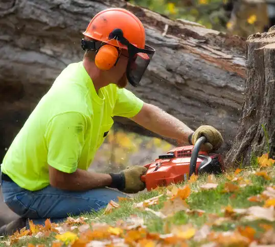 tree services Wade